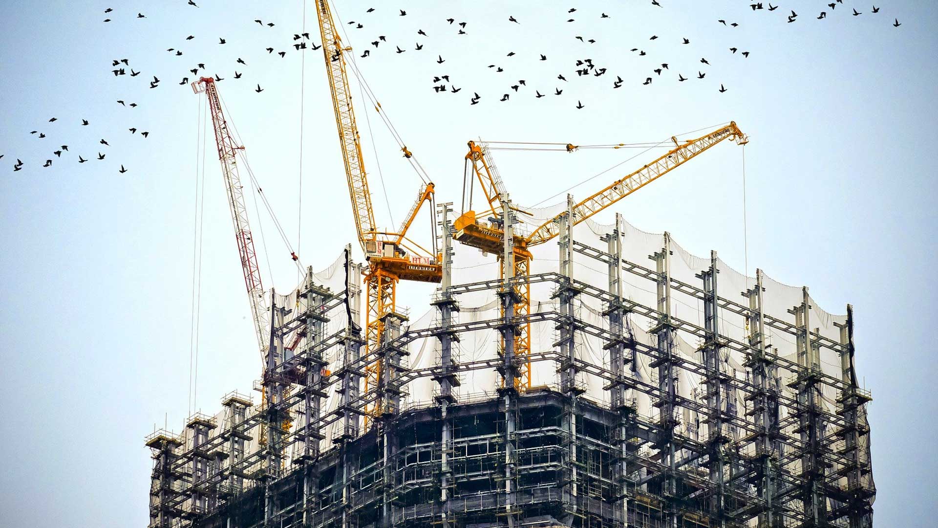 TSP LINEA CONSTRUCCION